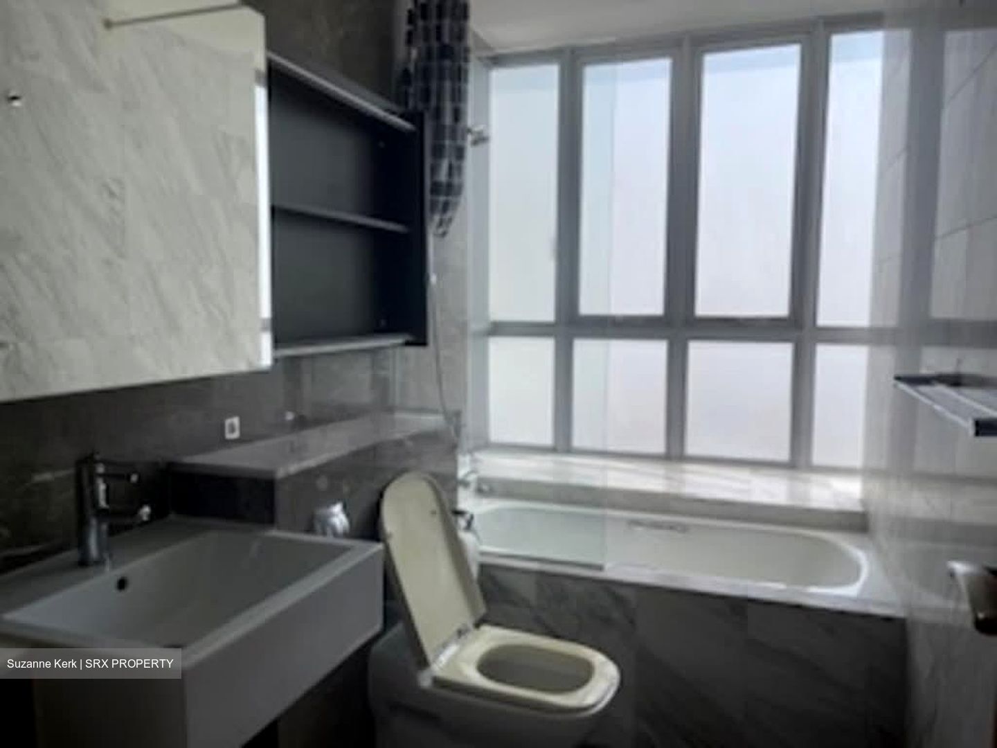 The Parc Condominium (D5), Condominium #548237361